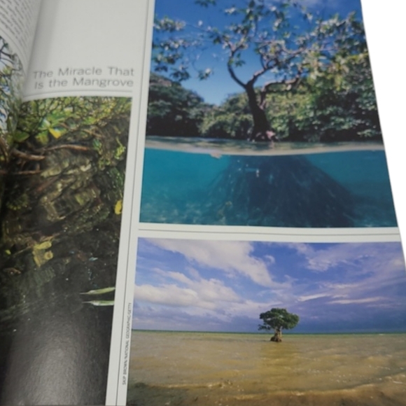 2010 LIFE BOOKS - WONDERS OF LIFE - THE AMAZING WORLD OF NATURE - Picture 11 of 16